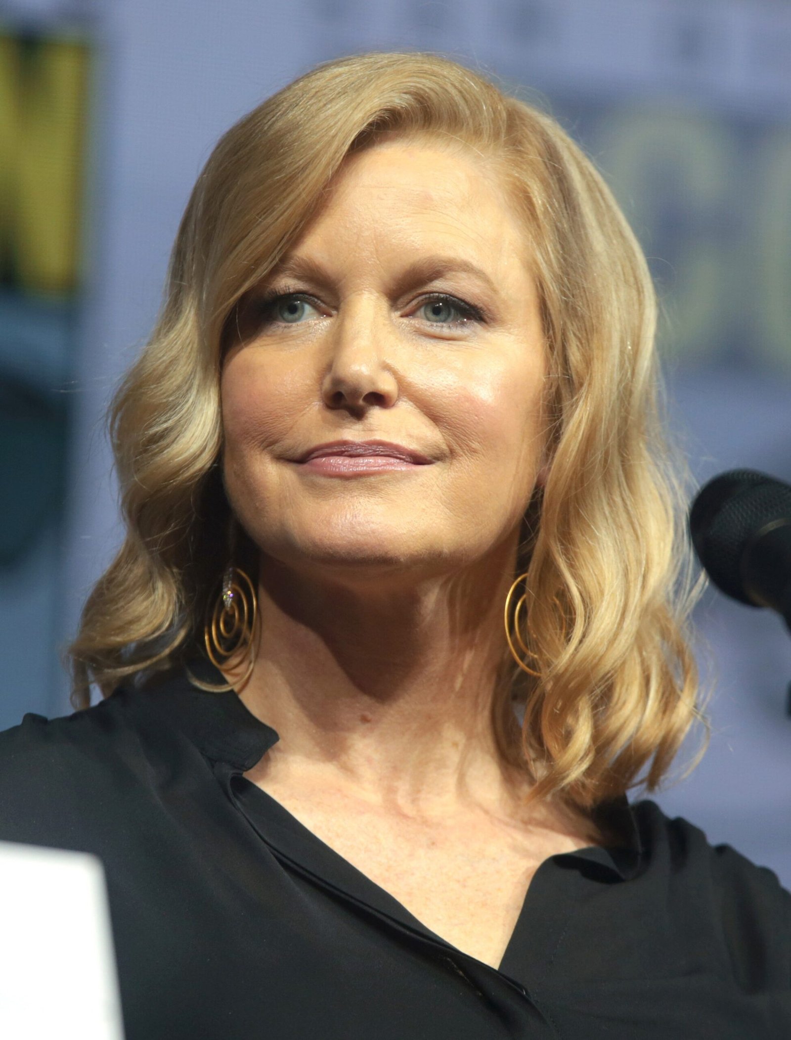 Anna Gunn related to James Gunn