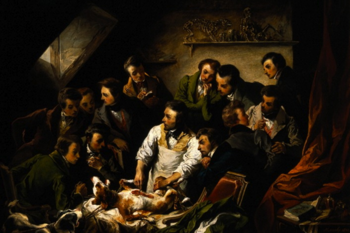 Vivisection in Early Modern England